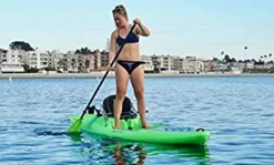 Perception Kayaks Perception Paddle Hi Life Convertible 3/ 2 Piece Paddle -Famous Kayak Shop hi life in use 2